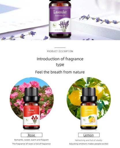 Esencia Aromatica - Aero Tienda